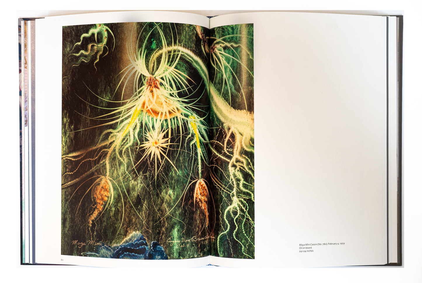 Eugene Von Bruenchenhein: King of Lesser Lands