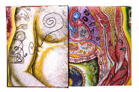 A Doorway to Joe: The Art of Joe Coleman