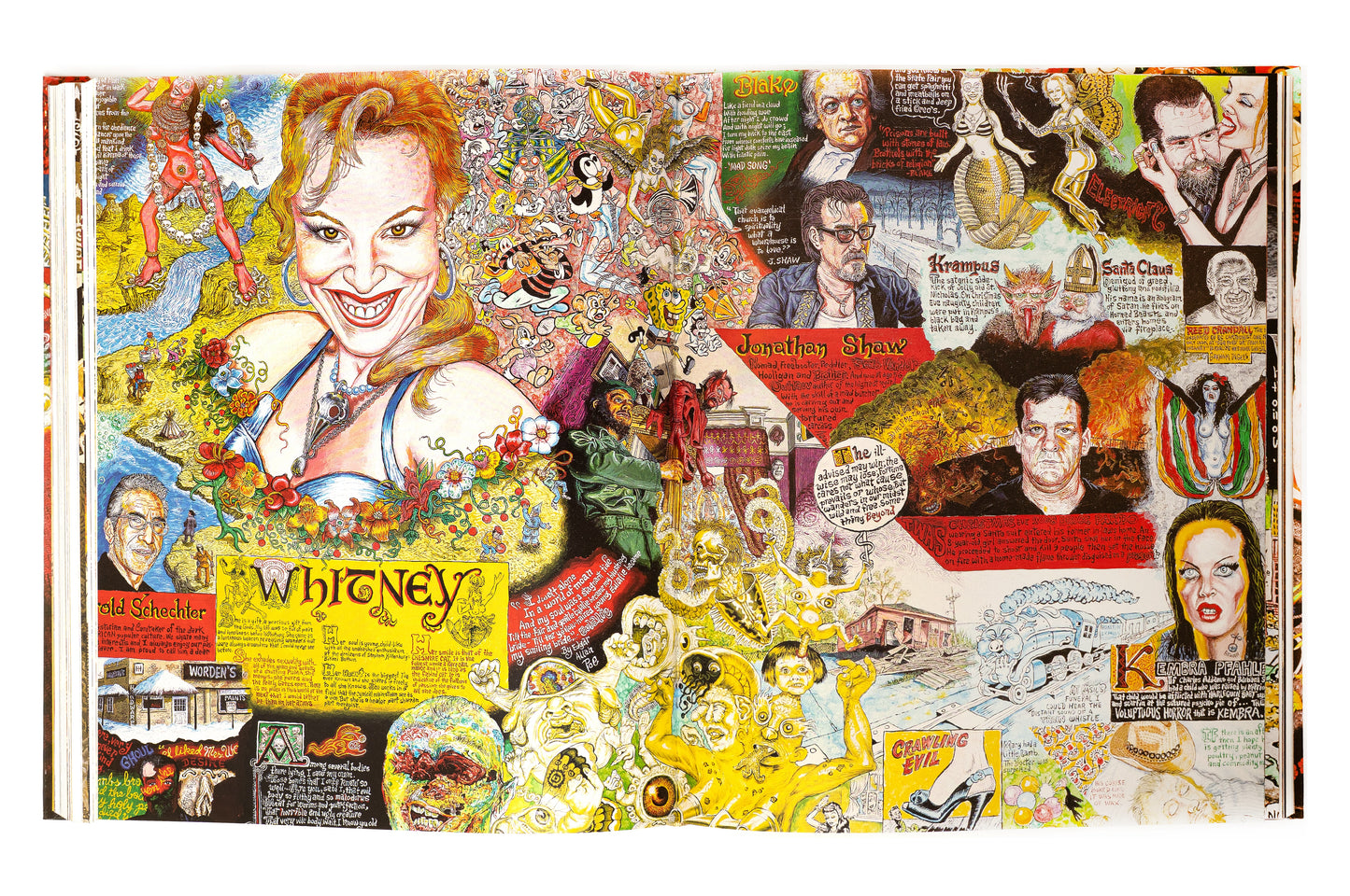 A Doorway to Joe: The Art of Joe Coleman