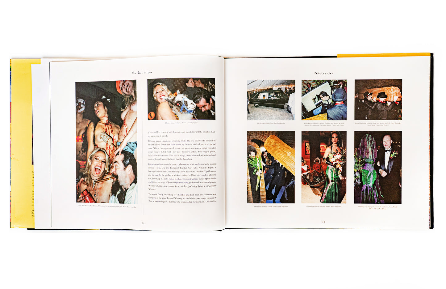 Joe Coleman: The Book of Joe